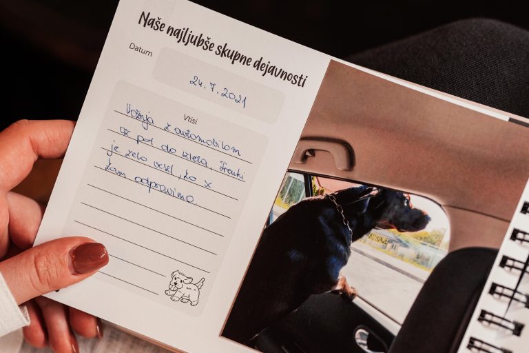 album 10